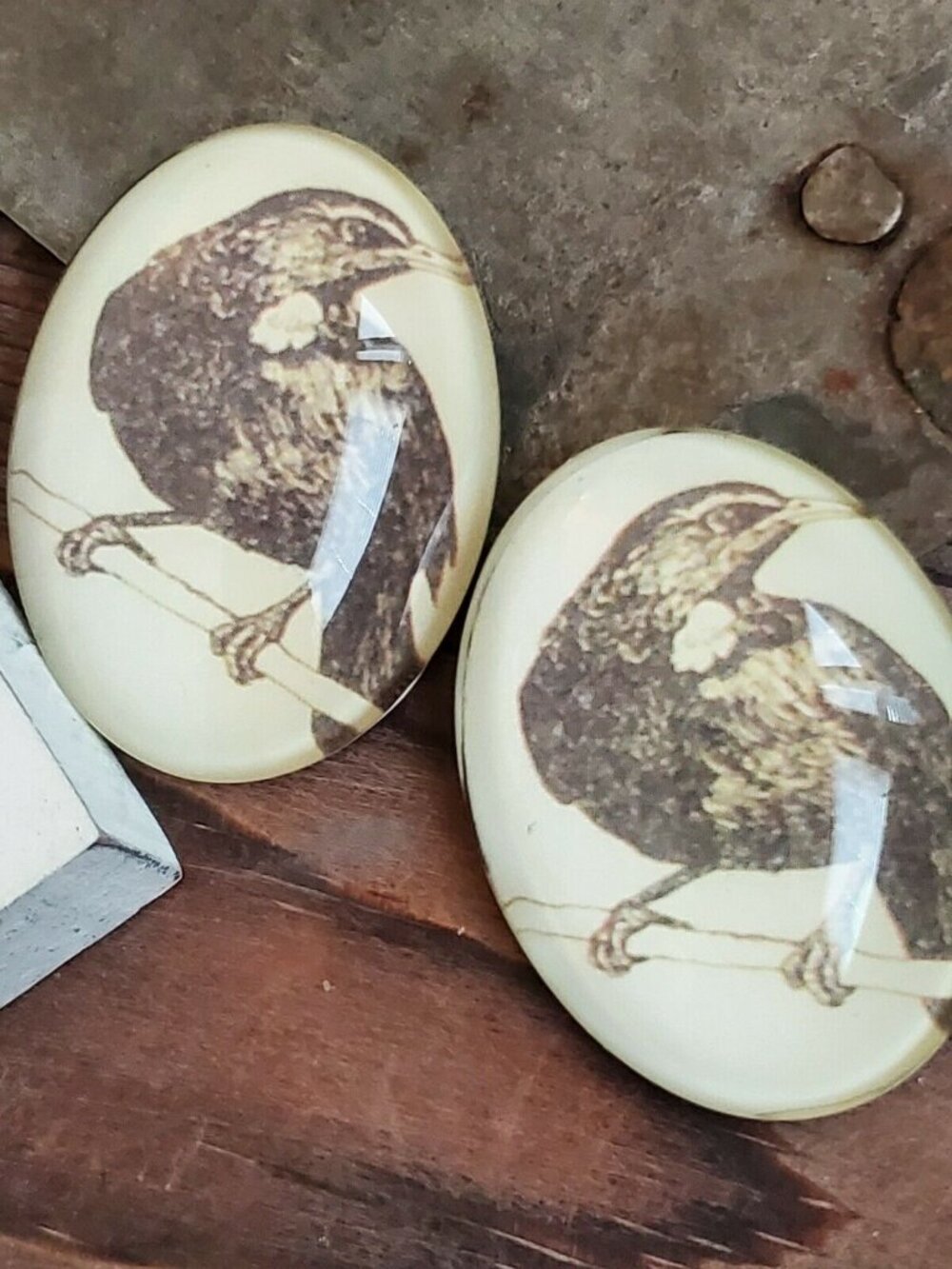 Edgar Allan Poe The Raven Victorian Gothic Bird Glass Oval Cabochon 40x30mm - Picture 5 of 10